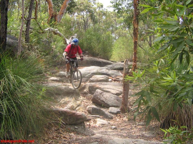 20061210-Lindfield 049 